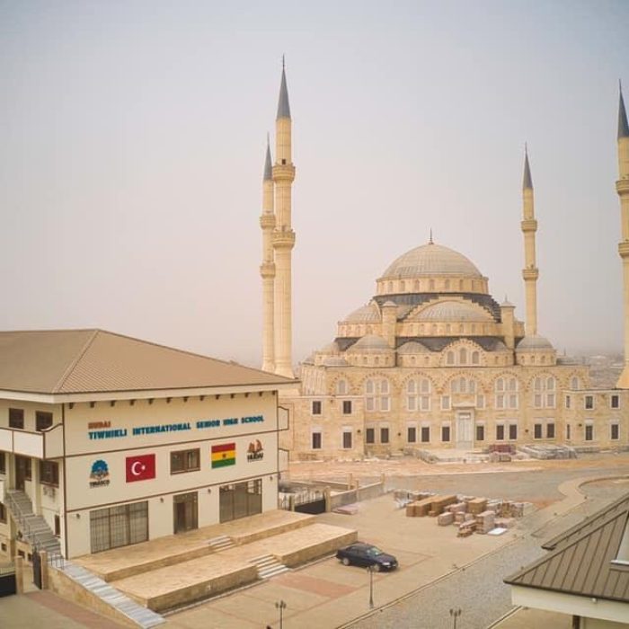 human developmeny association international